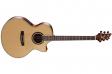 Cort NDX Baritone (Natural Satine): 1