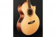 Cort NDX Baritone (Natural Satine): 5