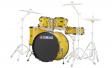 Yamaha RYDEEN (MELLOW YELLOW): 2