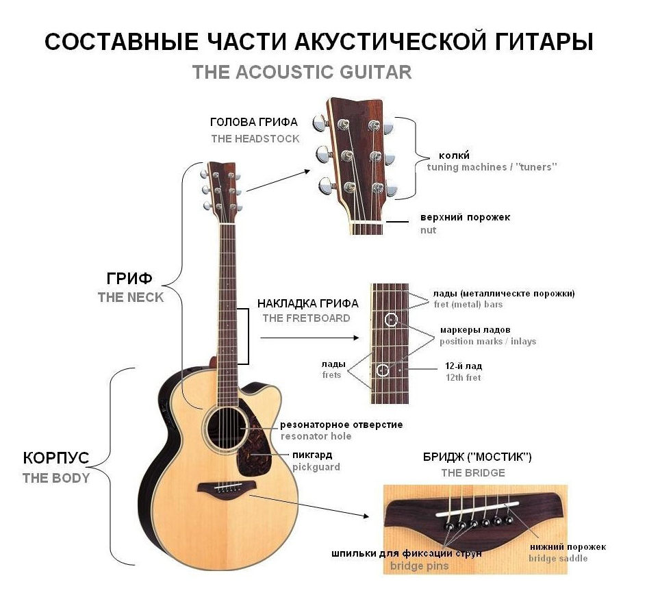 Гриф гитары схема